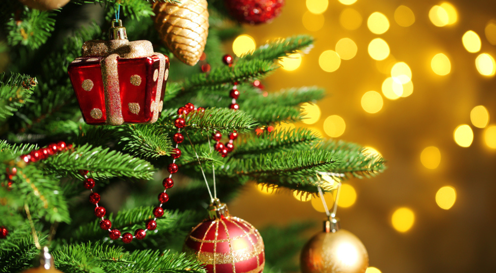 SureCare Bolton prepares for first ever Christmas Party