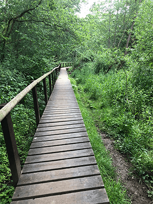 SureCare Calderdale & Kirklees complete ‘Jog on Dementia’ challenge