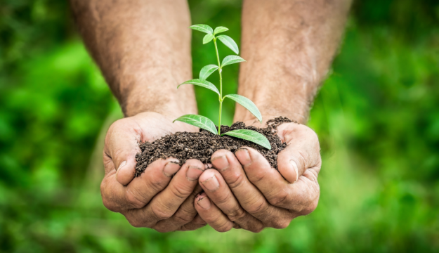Practical ways to improve your carbon footprint at home