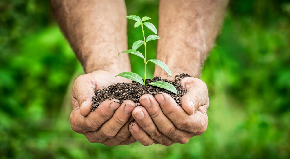 Practical ways to improve your carbon footprint at home